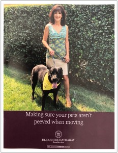 Pet Lover Brochure